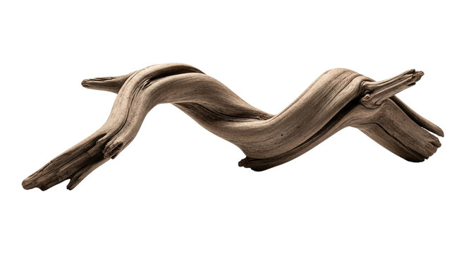 Piece of driftwood isolated on transparent background natural wood fragment for decoration, aquarium, or craft projects