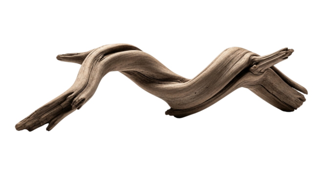 Piece of driftwood isolated on transparent background natural wood fragment for decoration, aquarium, or craft projects