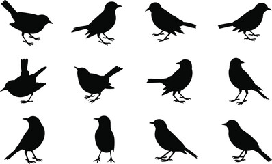 Bird silhouette illustration set, flying and standing poses, avian icon grid, nature graphic, wildlife symbol, feathered shape design