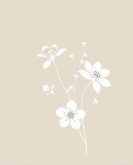 Delicate Floral Elegance: A minimalist composition features a cluster of delicate white flowers with intricate details, set against a soft, subtle background. Evoking feelings of serenity and purity.