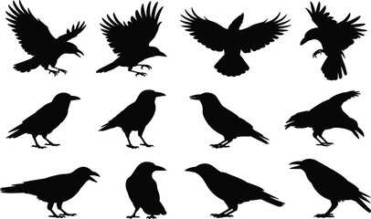 Crow silhouette illustration set, flying and walking poses, bird icon collection, nature graphic, wildlife symbol, dark feather design
