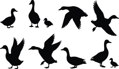 Duck and goose silhouette illustration set, flying and standing bird poses, waterfowl icons, nature graphic, avian shape design