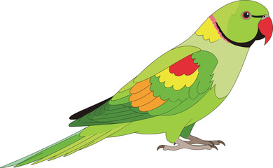 Colorful Rose-Ringed Parakeet Vector Illustration, Featuring Bright Green Plumage, Red Beak, and Neck Ring, Ideal for Exotic Pet, Wildlife, and Tropical Nature Graphics