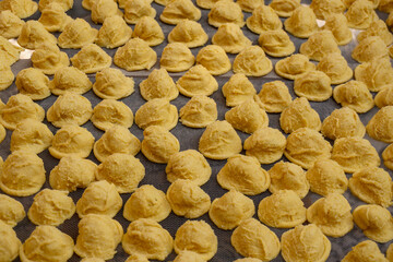 Orecchiette, Italian pasta from Puglia made with durum wheat flour and water