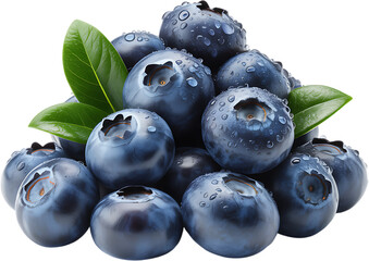 Fresh blueberries with water droplets macro shot closeup view