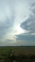 Fototapeta premium clouds over the field