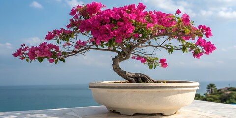 Stunning pink bougainvillea bonsai tree with calming blue ocean backdrop evokes peaceful beauty and mindful tranquility, perfect for meditation spaces