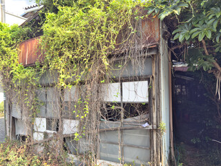 放置された空き家