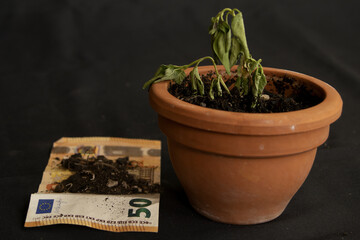 wilted plant and banknote covered in dirt representing economic crisis concept