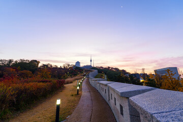 Obraz premium Namsan park at Autumn in South Korea.