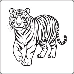 Obraz premium A beautiful tiger walking black outline vector illustration coloring book for kids