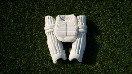 Bird's eye perspective of pink cricket ball for day-night matches on emerald green turf, studio-grade lighting