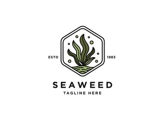 Seaweed Logo with Hexagonal Frame and Bubbles