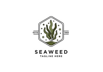 Seaweed Logo with Hexagonal Frame and Bubbles