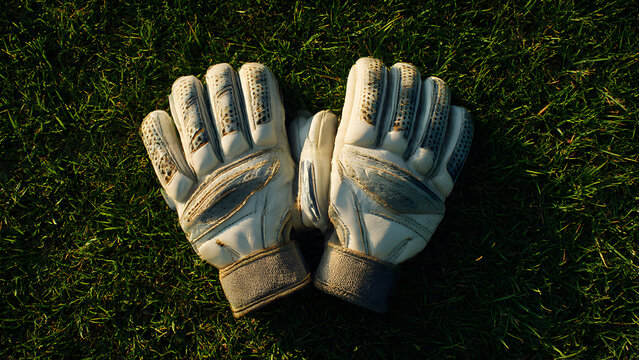 Overhead shot of cricket slip catching cradle training aid on field, specialized coaching equipment - Powered by Adobe