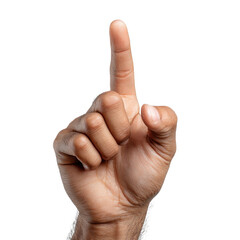 hand with index finger pointing up, making a touching or choosing gesture,