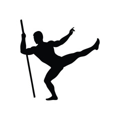 A silhouette of martial artist demonstrating striking pose