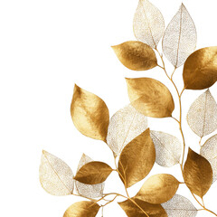 golden foil and white background, make exotic golden leaves.