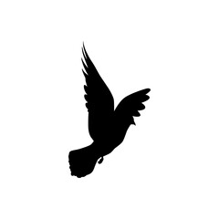 bird design with a little imagination