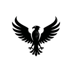 Fototapeta premium Black eagle with wings spread