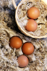 Brown farm chicken eggs and feathers.