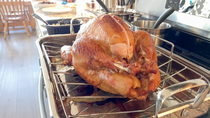 Whole roasted turkey resting in oven rack