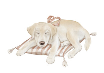 Watercolor character beige yellow retriever puppy dog isolated on white background. Hand drawn illustration sketch Labrador sleeping on a striped pillow and a red bow around his neck.