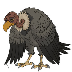 Hungry Vulture