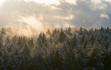 Snow-covered hazy mysterious fairy-tale spruce forest horizon in winter. High-angle view landscape. Warm sunlight shines through the fog and falls on the fir trees tops