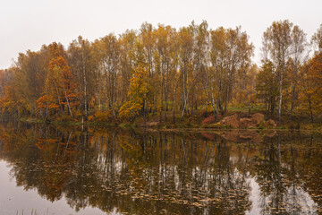 Autumn landscape with colorful trees reflected in calm lake on a misty day. Nature background for serenity and seasonal beauty.