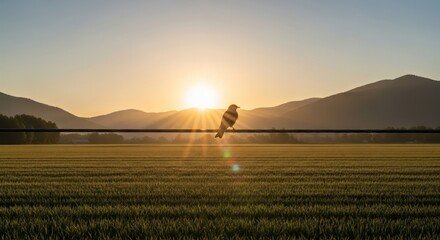 Obraz premium A bird perched on a wire as the sun rises over a field and mountains