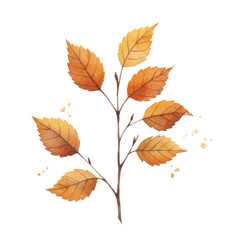 Fototapeta premium Watercolor autumnal branch with falling leaves isolated on white background