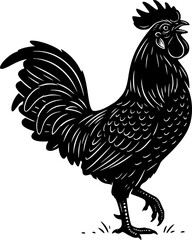 chicken vector illustration