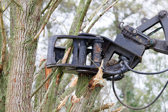 demonstration de materiel entretien taille de haie