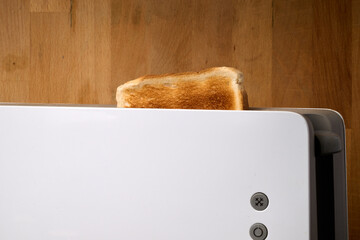 Grilled toast in toaster