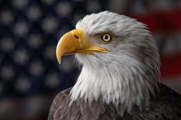 Obraz premium the bald eagle and the blurred american flag on background