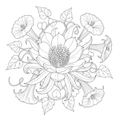 Morning glory flower mandala isolated on