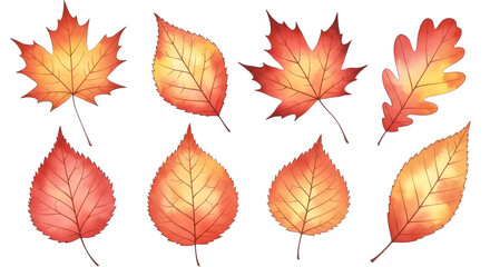 Obraz premium Collection of vibrant watercolor painted autumn leaves in warm shades of orange and red