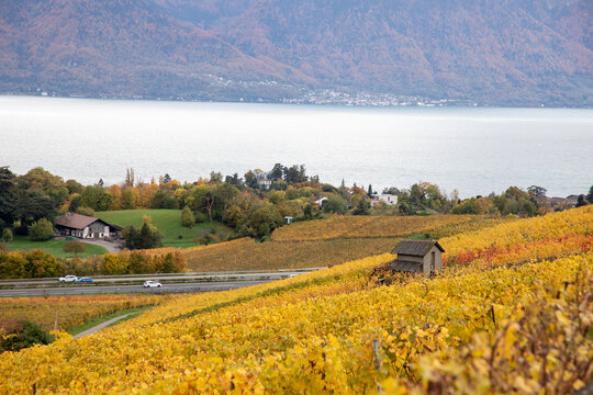 Autumn landscape, Chailly village, Switzerland