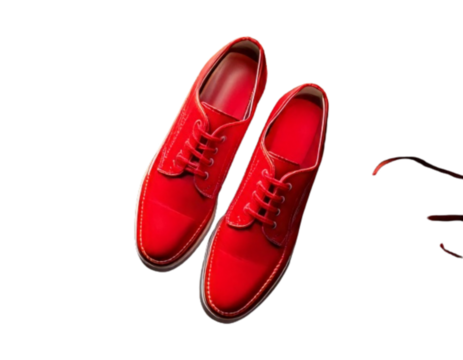 Stylish Red Shoes on Rustic Wooden Surface