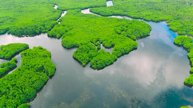 Aerial green wetlands with winding waterways and numerous small islands, Everglades, Florida, USA.