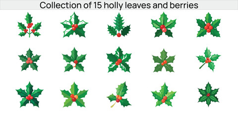 Collection of  15 holly leaves and berries vector elements  isolated on white background, a festive christmas and new years design element