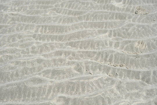 Natural Wavy Sand Ripples Texture on Beach at Low Tide