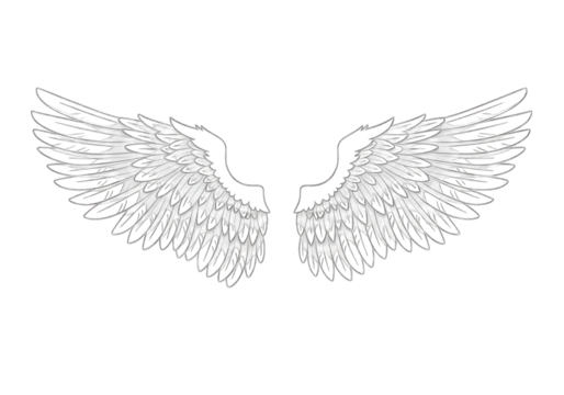 Sketchy outline of angel wings in black and white, isolated on transparent background - Powered by Adobe
