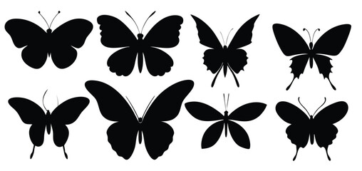 isolated butterfly silhouettes in various poses © Hooha