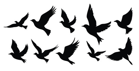 isolated flying birds silhouettes in various poses on white