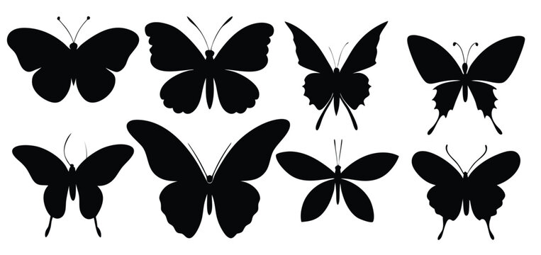 isolated butterfly silhouettes in various poses
