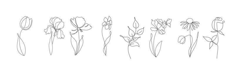  line drawing of flowers set tulip daffodil rose iris