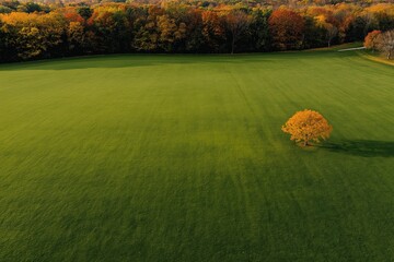 Aerial view of vibrant autumn meadow and forest with colorful foliage, distant golf course under clear sky, for travel and nature projects.