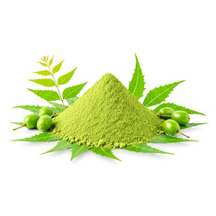 Neem powder with fresh neem leaves and fruits isolated on white background , ai generated image